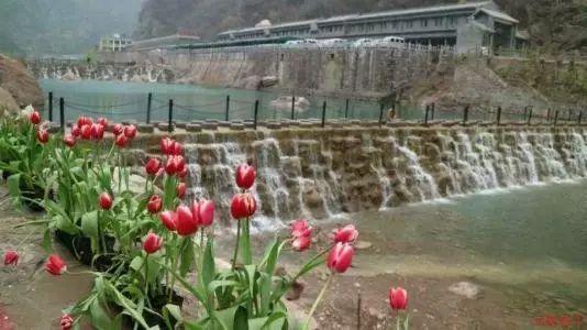 动物帮帮忙保卫家园